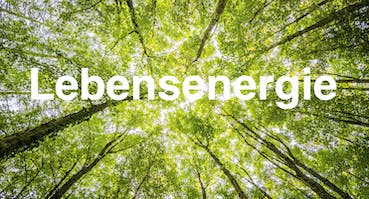Lebensenergie