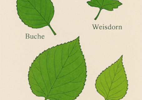 Alles im grünen Bereich? 🌿