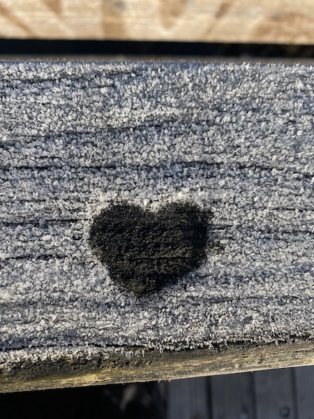 Herz auf frostigem Holsblock