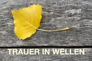 Ein gelbes Blatt liegt auf einem grauen Holz