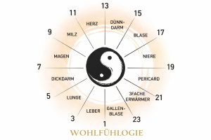 Grafik der Organuhr der Traditionellen Chinesischen Medizin mit Yin-Yang-Symbol und den Aktivitätszeiten der Organe im 24-Stunden-Körperrhythmus.